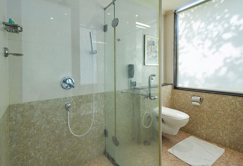 Полулюкс, Royalton Hyderabad Abids