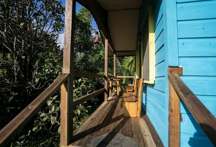ویلای 1 خوابه, T.r.e.e.s Research Center And Eco Lodge