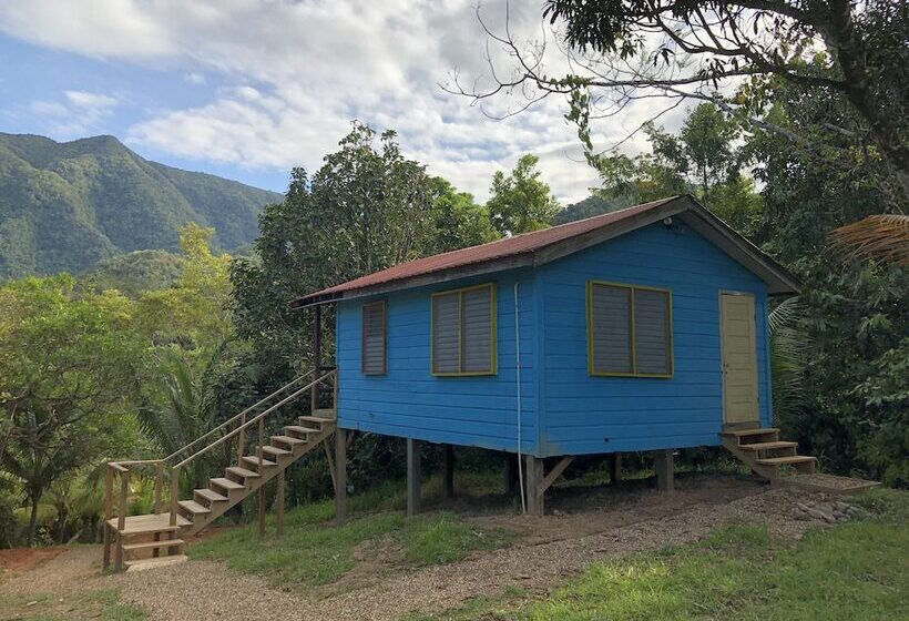 ویلای 1 خوابه, T.r.e.e.s Research Center And Eco Lodge
