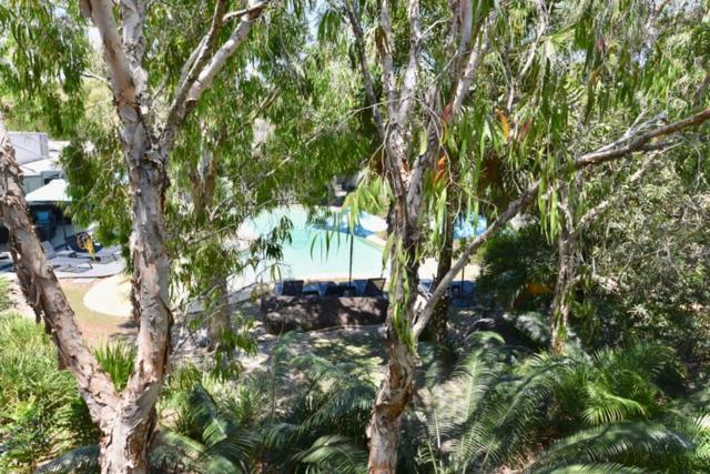 1 Bedroom Penthouse Apartment, East On Byron