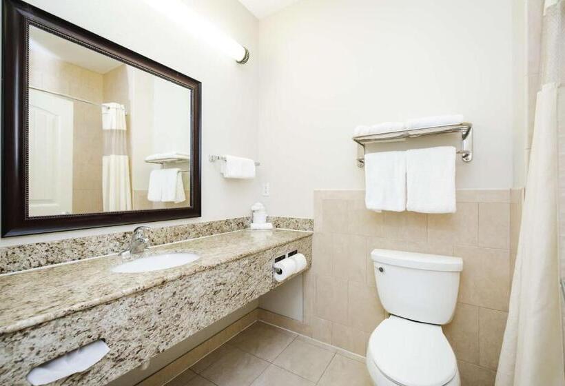 스탠다드 룸 킹사이즈 침대, Best Western Sugar Land   Richmond