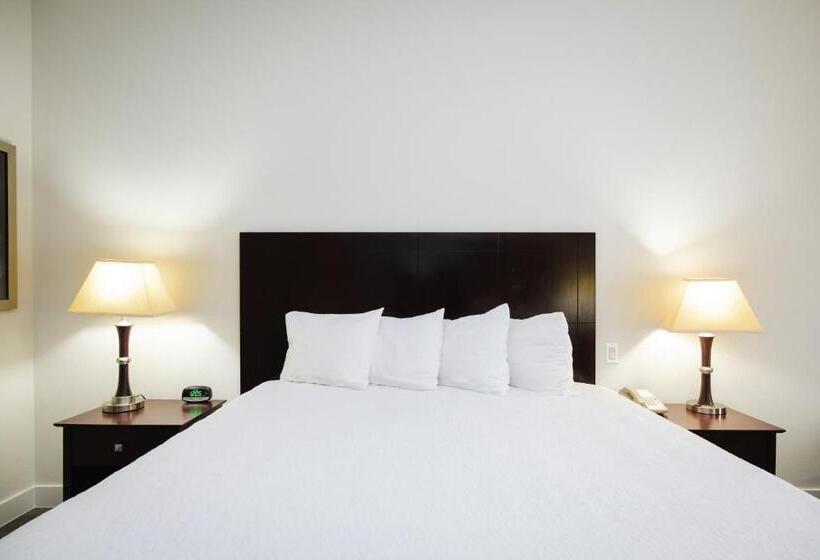 스탠다드 룸 킹사이즈 침대, Best Western Sugar Land   Richmond