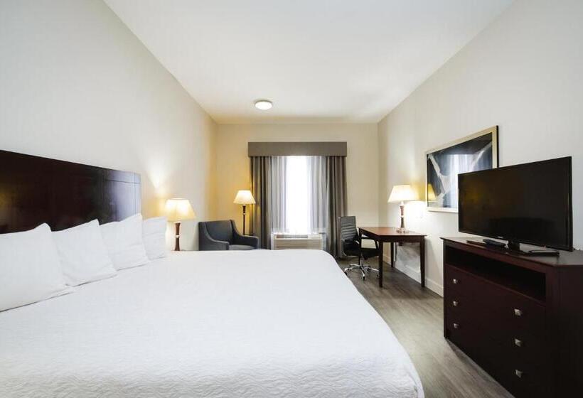 חדר סטנדרט עם מיטת קינג, Best Western Sugar Land   Richmond