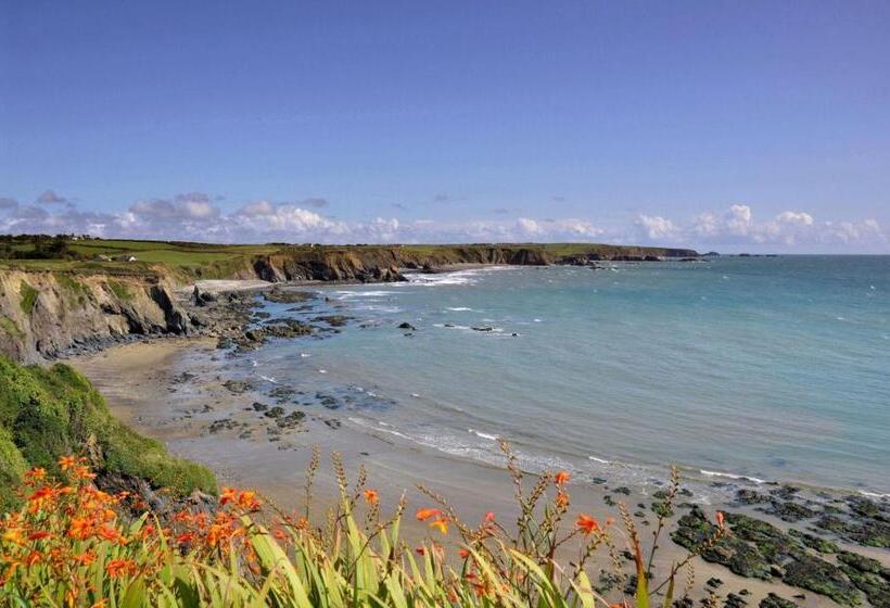 اتاق استاندارد چهار تخته, Beach Haven Accommodations