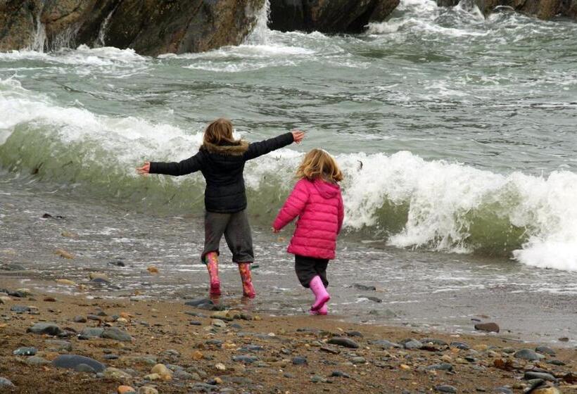 اتاق استاندارد چهار تخته, Beach Haven Accommodations