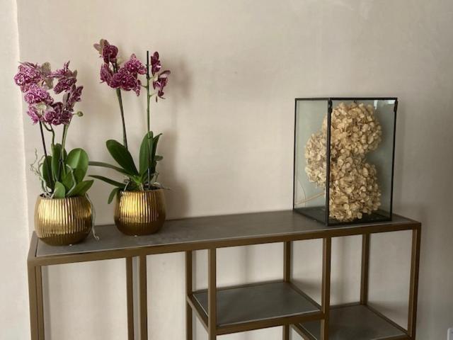 اتاق لوکس با تخت بزرگ, Palazzetto Dieda