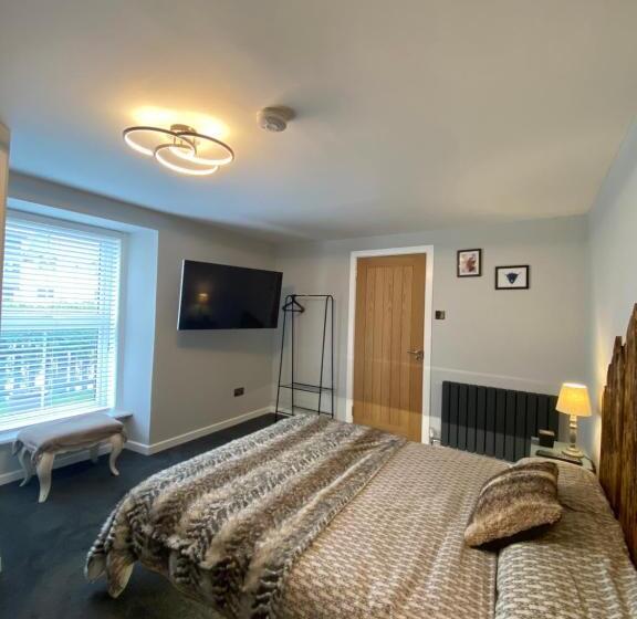 اتاق لوکس, Shore Street Apartments