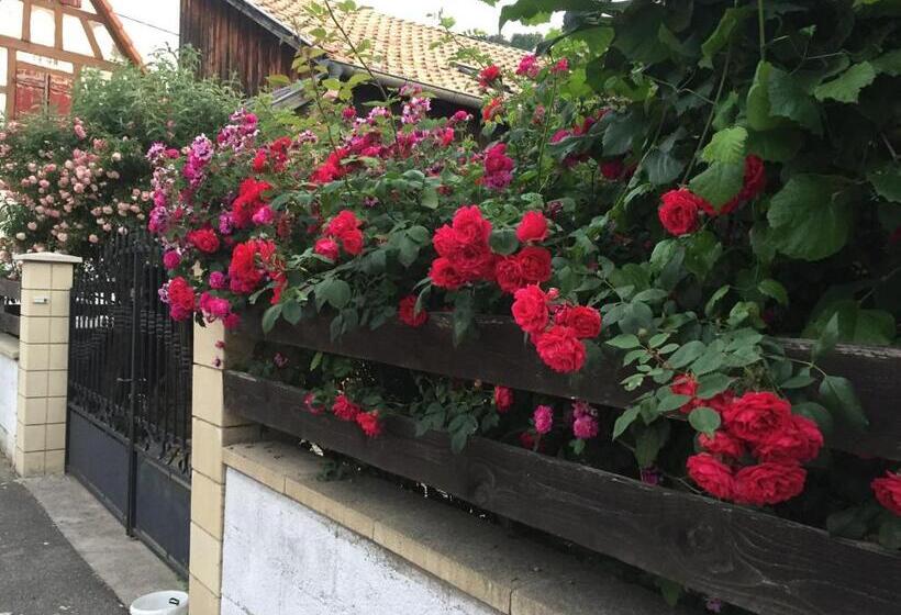 Номер Стандарт, Chambre Spacieuse Dans Joli Village Alsacien