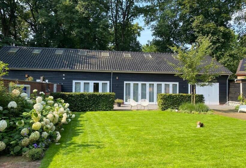 اتاق استاندارد, Bed & Breakfast De Oude Kapel