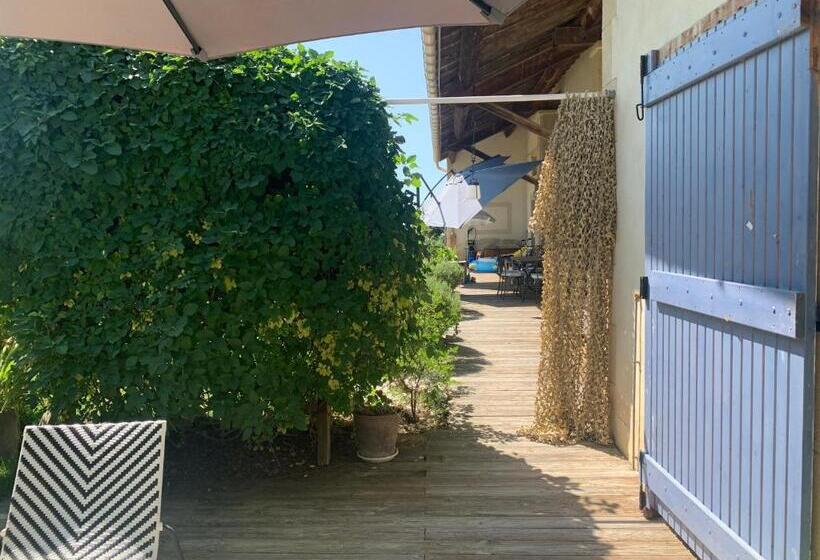 اتاق استاندارد, Chambre En Drôme Tropicale