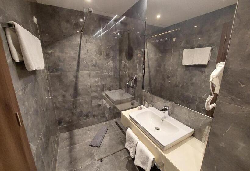 اتاق استاندارد, Spa Hotel Terme