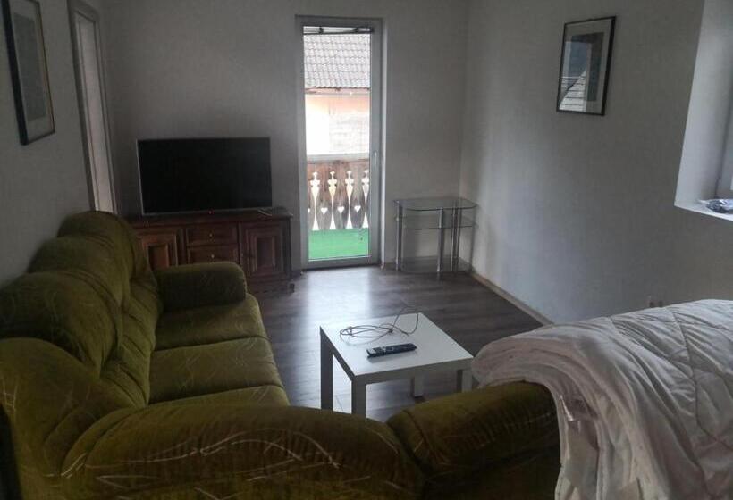 آپارتمان 1 خوابه با چشم‌انداز, Apartma Alja