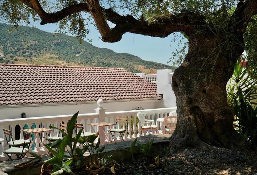标准间, One Life Málaga Retreat