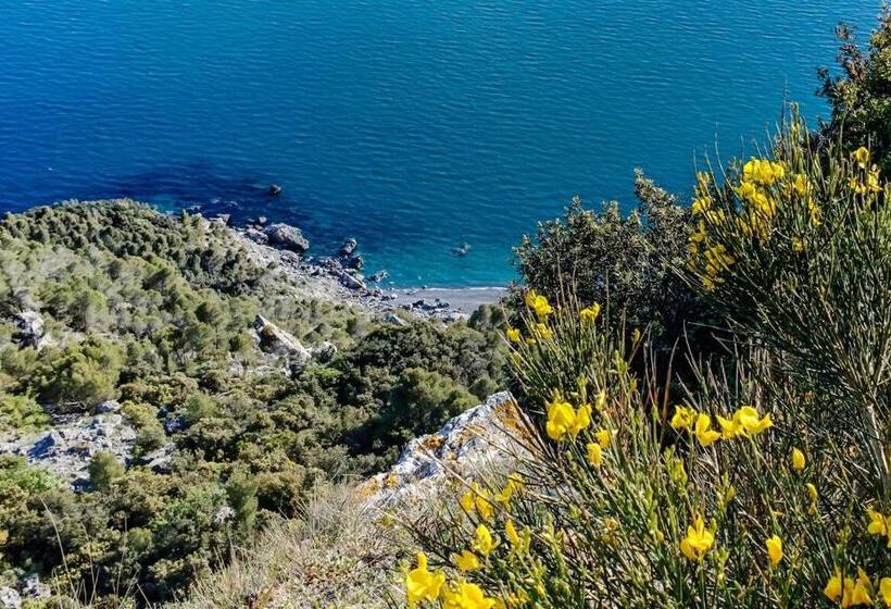 آپارتمان 1 خوابه با چشم‌انداز استخر, La Casa Fra Gli Ulivi Luxury Apartments With Pool Near Cinque Terre And Tuscany