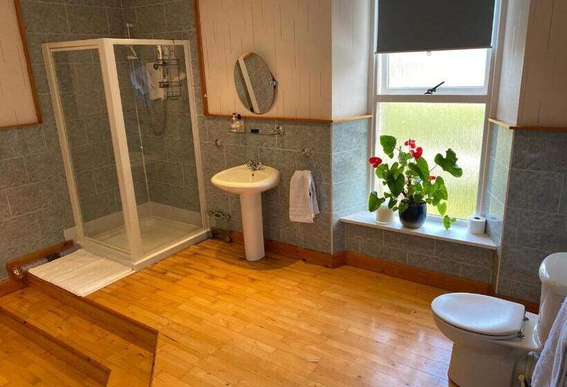 اتاق استاندارد با تخت بزرگ, Ardmor Guest House