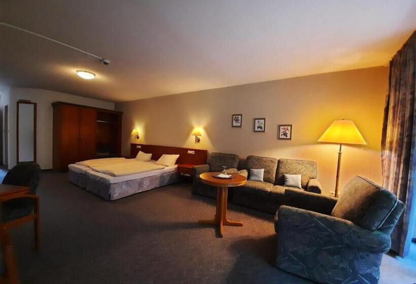 Полулюкс Вид на Сад, Parkhotel Keck   Castillo Del Bosque