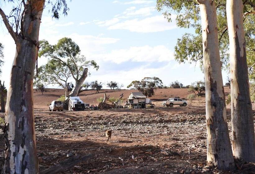 غرفة قياسية, Holowiliena Station & The Outback Blacksmith