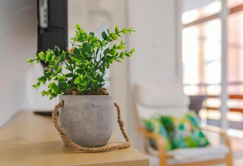 Apartamento 1 Dormitório com Terraço, Hostal El Perelló, Valencia