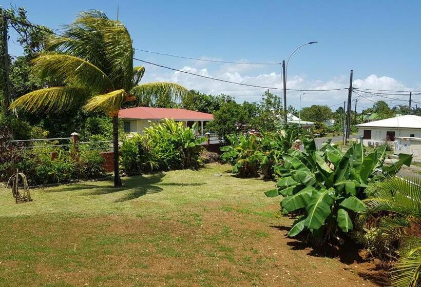 خانه 2 خوابه, La Maison Aux Orchidées