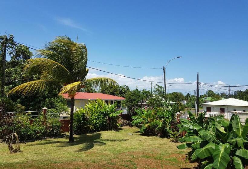 استودیو استاندارد با چشم‌انداز استخر, La Maison Aux Orchidées