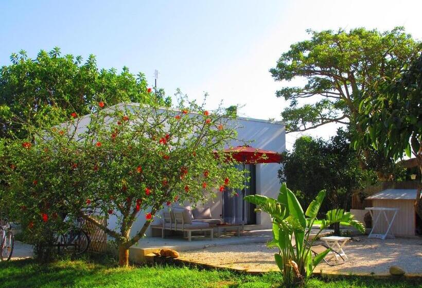 Standard Szoba, Mayana Sicily   The Suites
