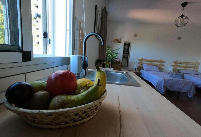 استودیوی استاندارد, B&b And Apartments El Charco Azul