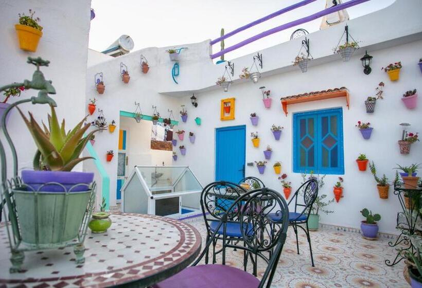 اتاق سوپریور با چشم‌انداز شهر, Afra House