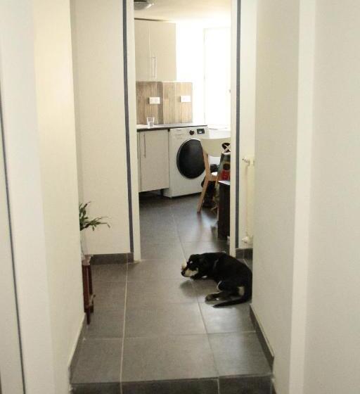 Апартаменты 1 Спальня Нижний Этаж, Hostel Du Lapin Blanc