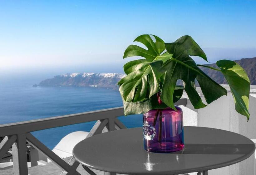 اتاق دوبلکس, Abelonas Retreat