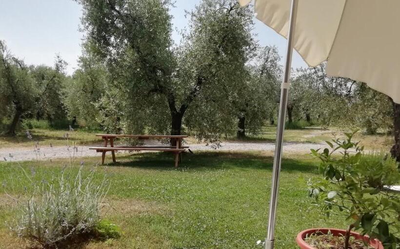 Апартаменты 1 Спальня Нижний Этаж, Agriturismo Fioralba