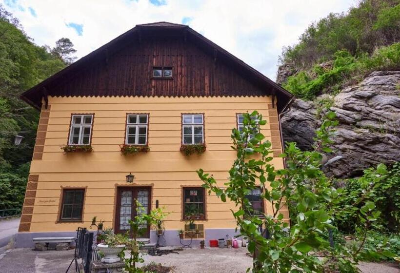 اتاق استاندارد با بالکن, Haus Zum Prater