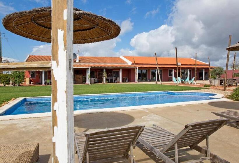 اتاق استاندارد با تراس, Trendy And Luxe B&b And Garden Suite