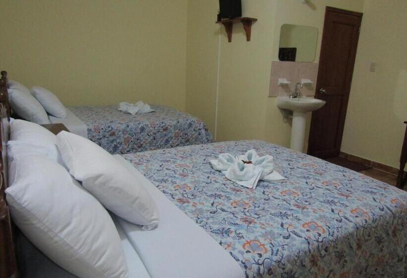 Quarto Estandar, Nicte Ha