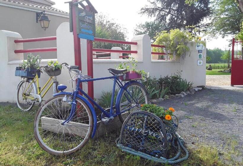 Номер Стандарт, Bedloire
