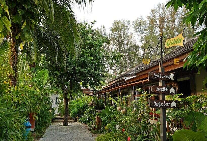اتاق لوکس, Bangtao Beach Chalet Resort