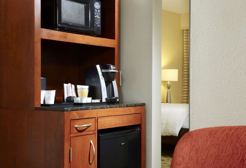 Habitació Estàndard, Hilton Garden Inn Dallas/arlington