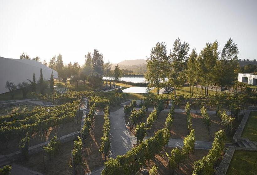 Люкс 2 Спальни, L'and Vineyards