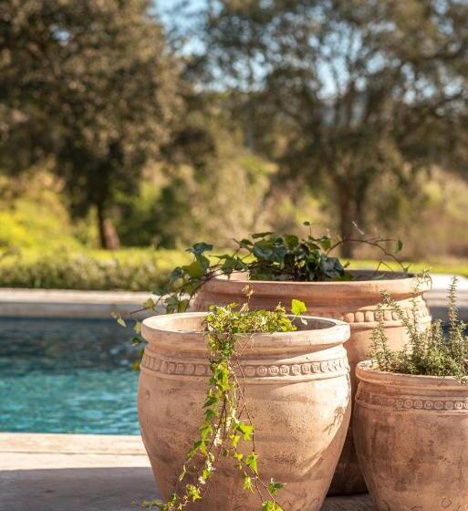 منزل غرفة نوم واحدة, L'and Vineyards