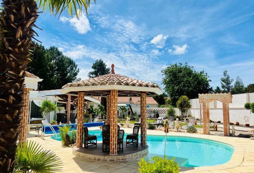 استودیوی استاندارد, Le Mas Des Mathes, Chambres D Hôtes, Studios