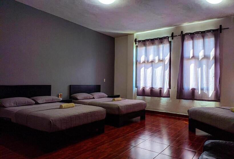 اتاق استاندارد سه نفره, Zepeda