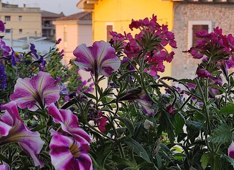 اتاق اکونومی, Lovely Casa Paola Villlafranca Centro Zimmer Rooms