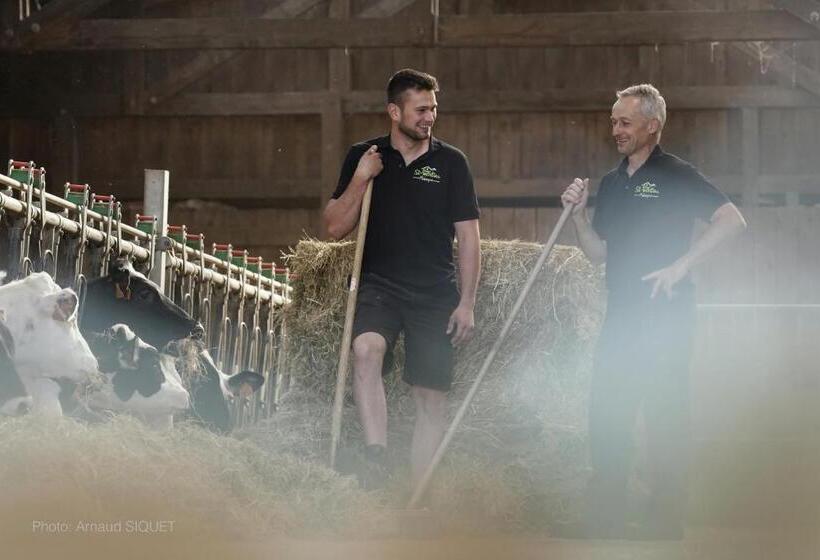 Номер Стандарт Вид на Сад, Ferme St Martin