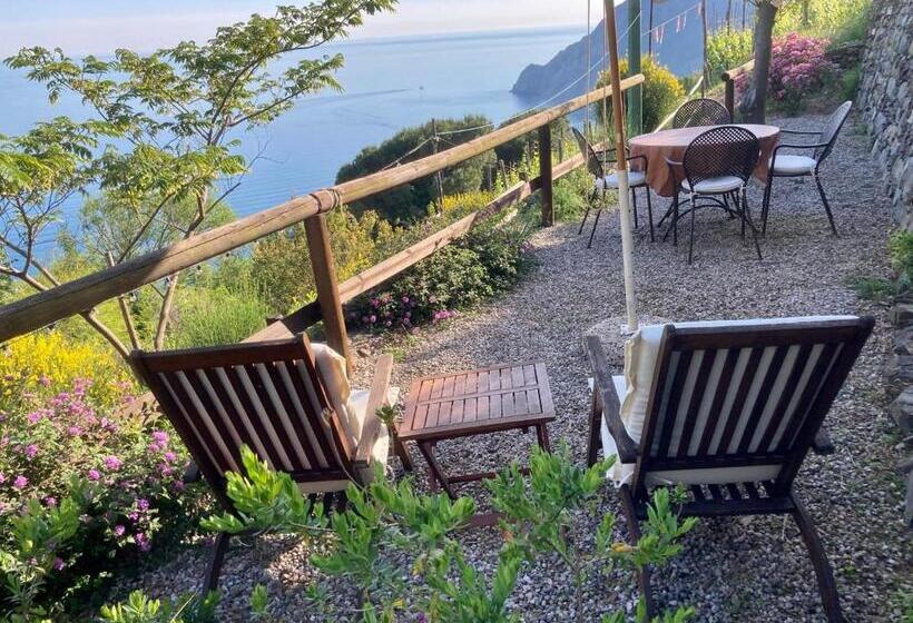 Apartamento 1 Dormitório com Terraço, Villa Pietrafiore