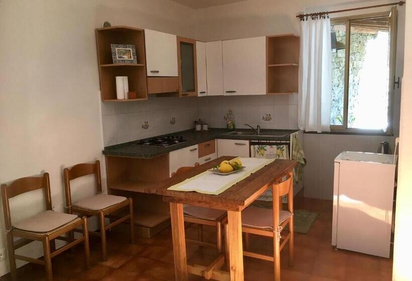 Apartamento 1 Dormitório com Terraço, Villa Pietrafiore