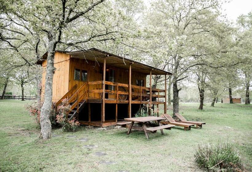 Шале 1 Спальня, Le Ranch Amadeus