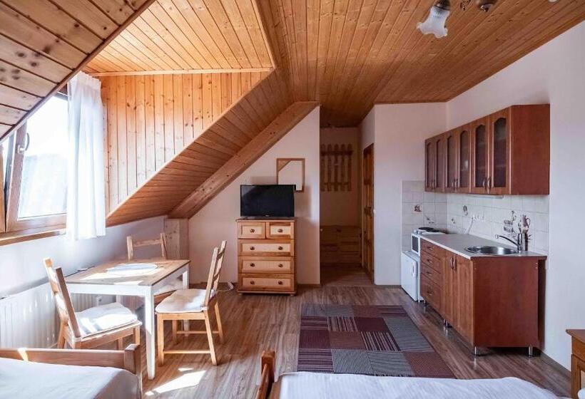 스탠다드 스튜디오 (전망), Apartmány V Müllerovom Dome