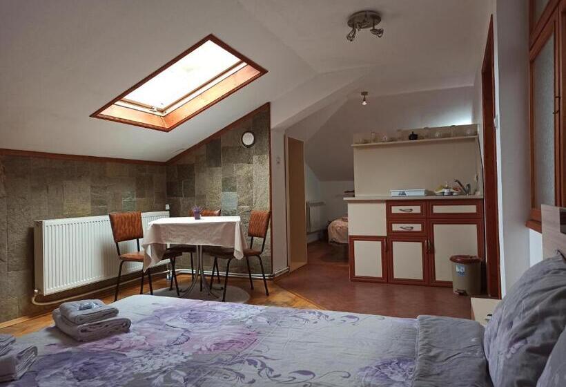استودیو خانوادگی, Guest House Ganovi