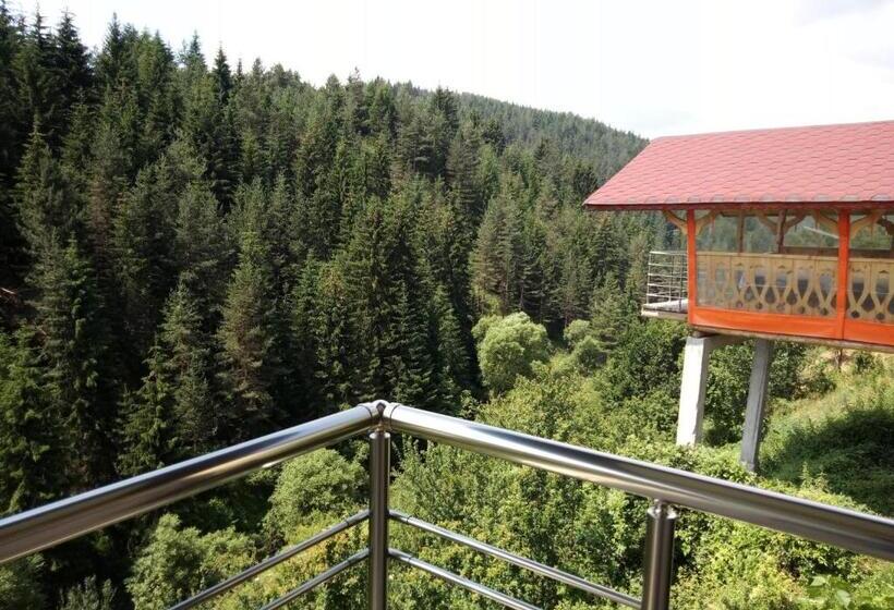 Стандартный Номер Кровать Кинг, Guest House Milka