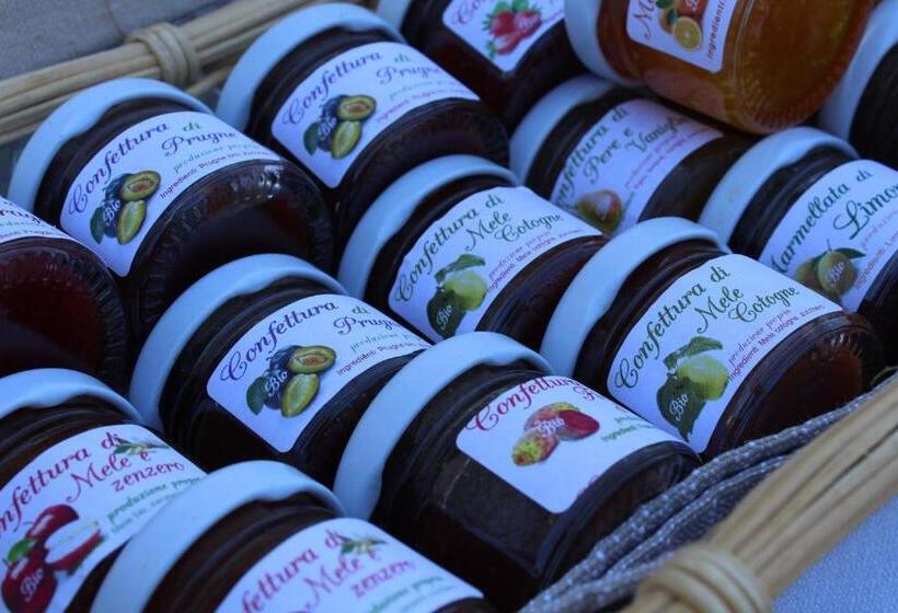 اتاق سوپریور چهار تخته, Dimora San Quirico   Rooms & Food
