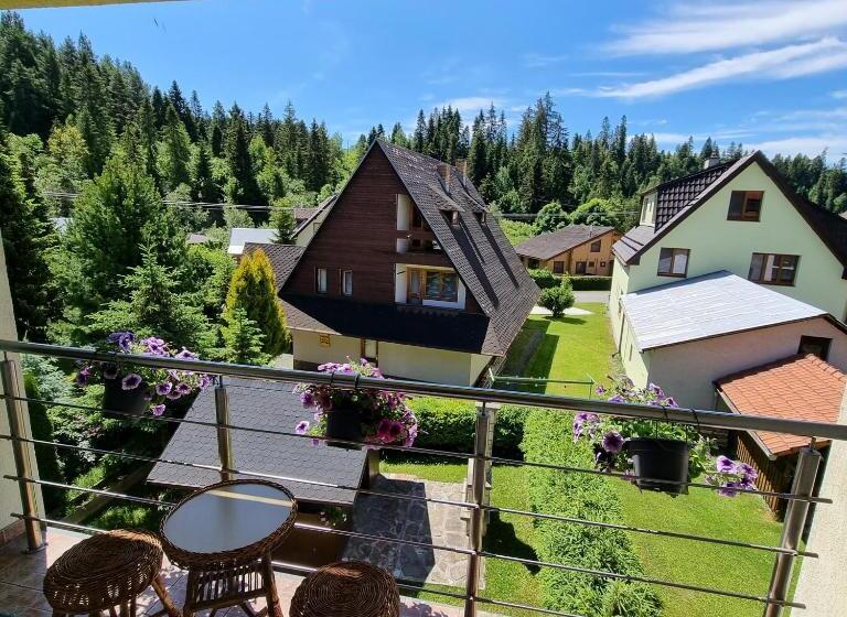 Апартаменты 1 Спальня с Балконом, Apartmány Habovka